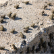 Image for article titled Swarms Of Frogs Shut Down Greek Highway